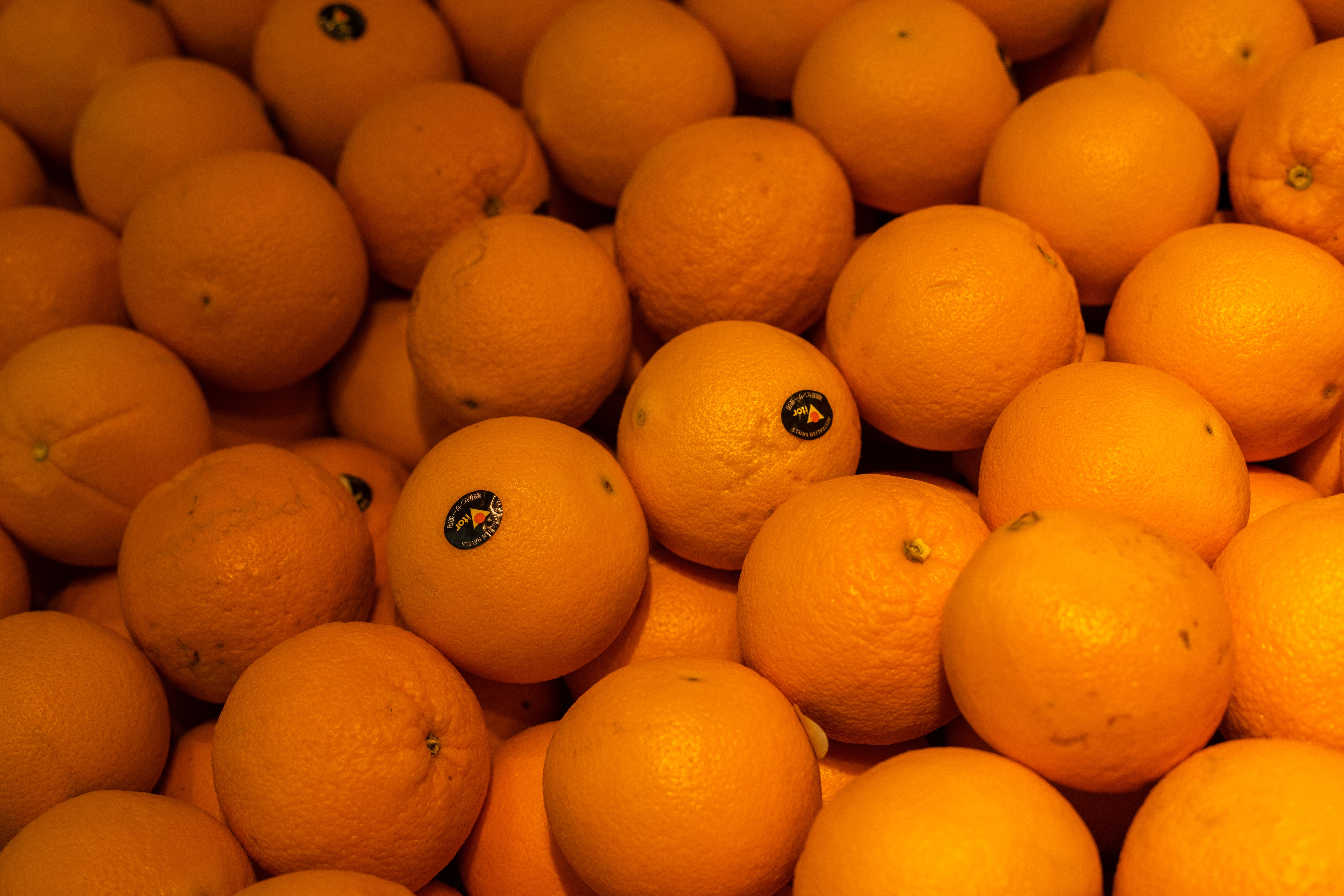 Agrumes frais